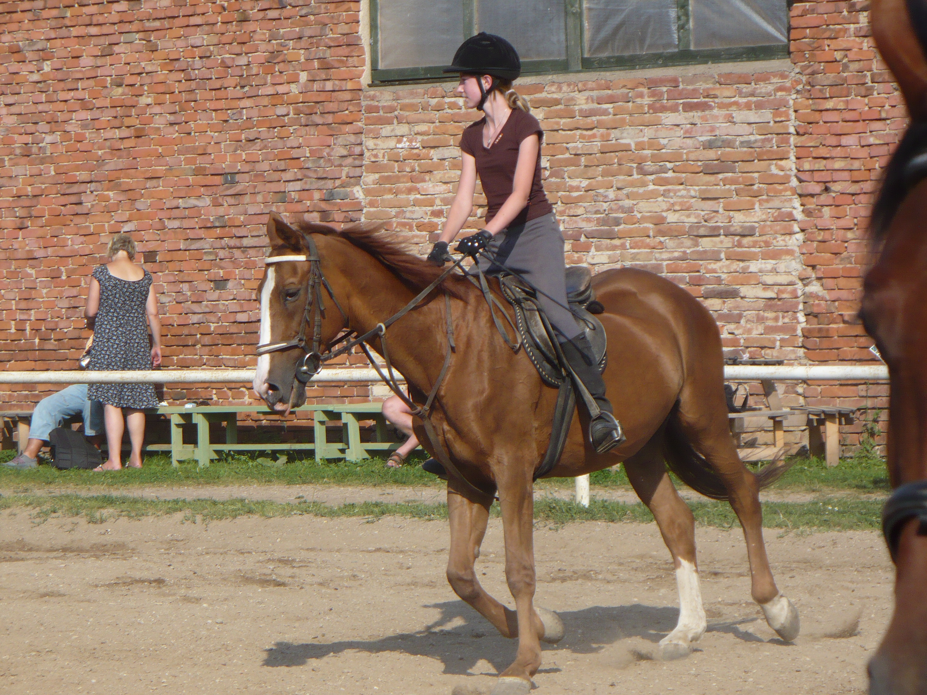 P1020864.JPG